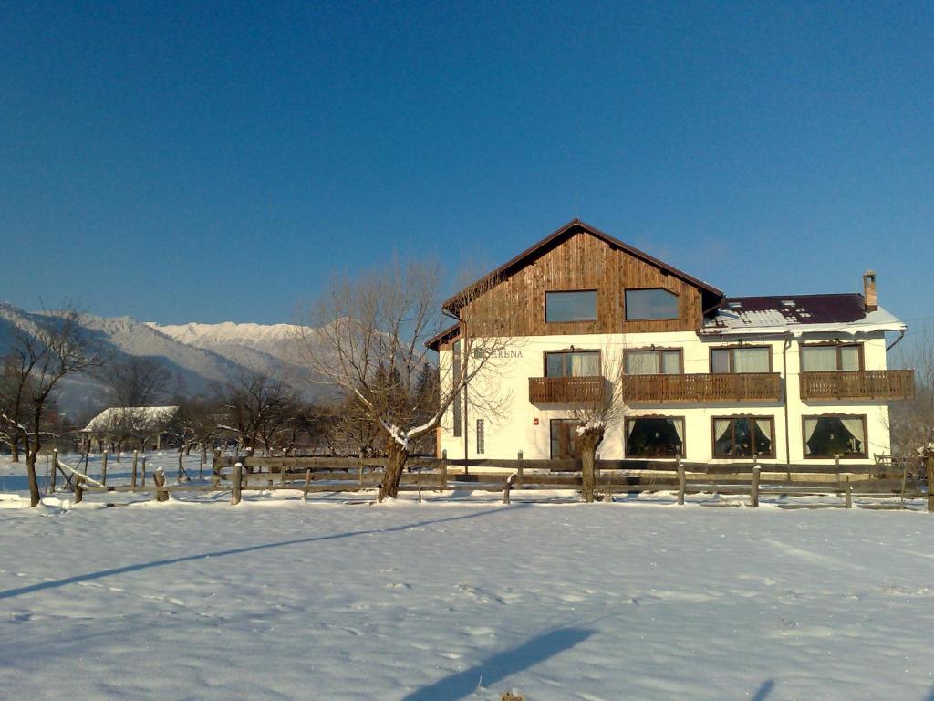 Serena Guesthouse Bran Bran  Exterior foto