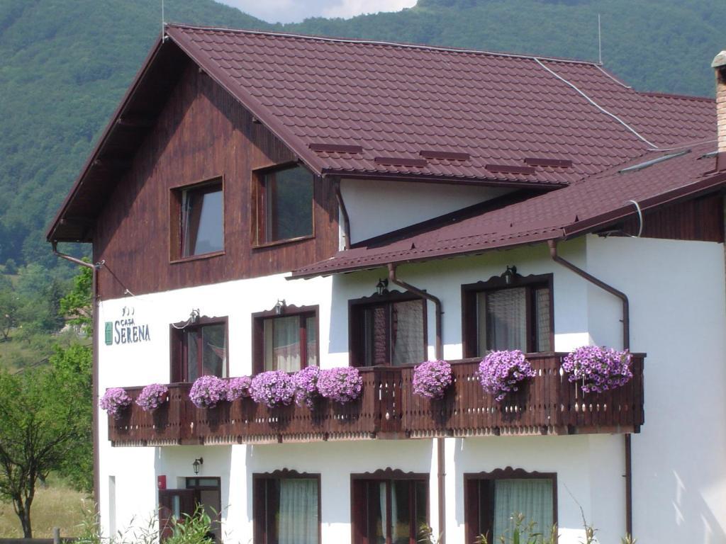 Serena Guesthouse Bran Bran  Exterior foto